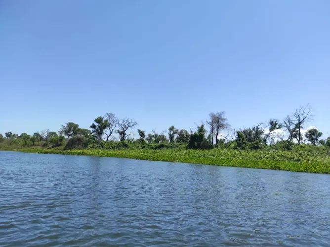 FAZENDA DE 1310 HECTARES A VENDA EM CORUMBÁ/MS.