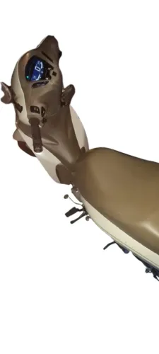 Honda Biz 125 Flex 2019 - Econômica e Conservada