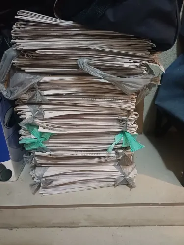 Jornal para seu pet 
