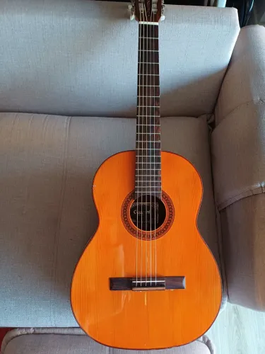 Violão giannini awnm4