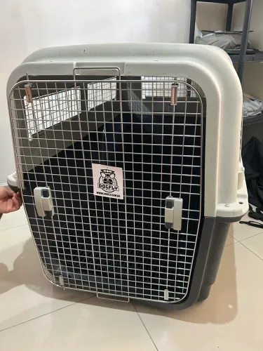 Caixa pet 