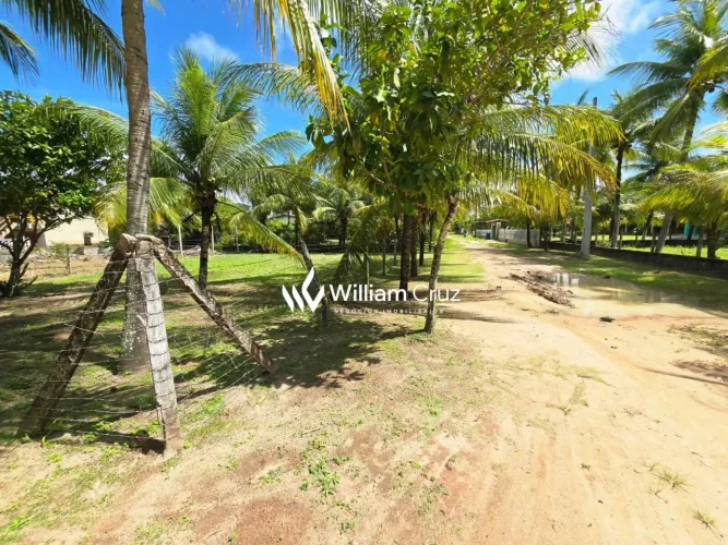 Terreno em Japaratinga 450m², a 80m do mar no Pontal do Boqueirão!
