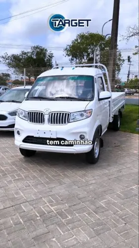 Caminhão TELUX30