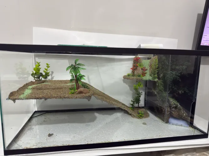 Aquaterrario novo decorada com sump de filtragem e cascata de água