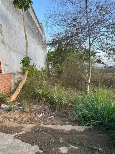 Vende-se Chão de Casa