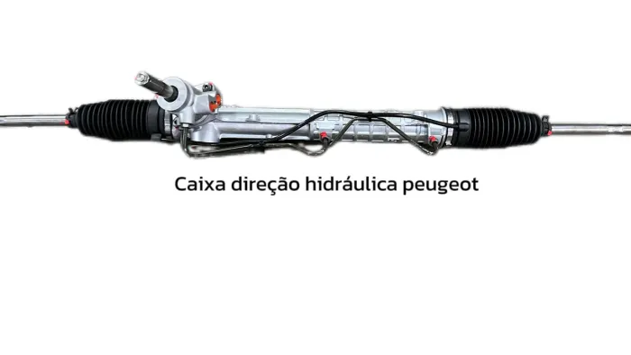 Caixa direção hidráulica peugeot 206/207