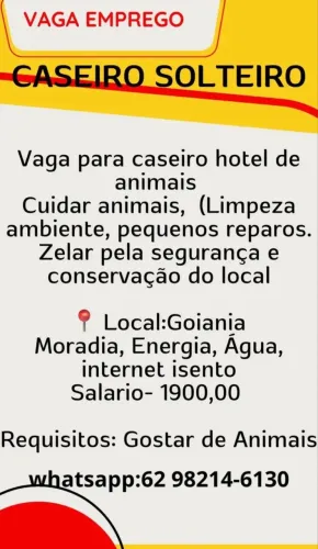 Caseiro solteiro 