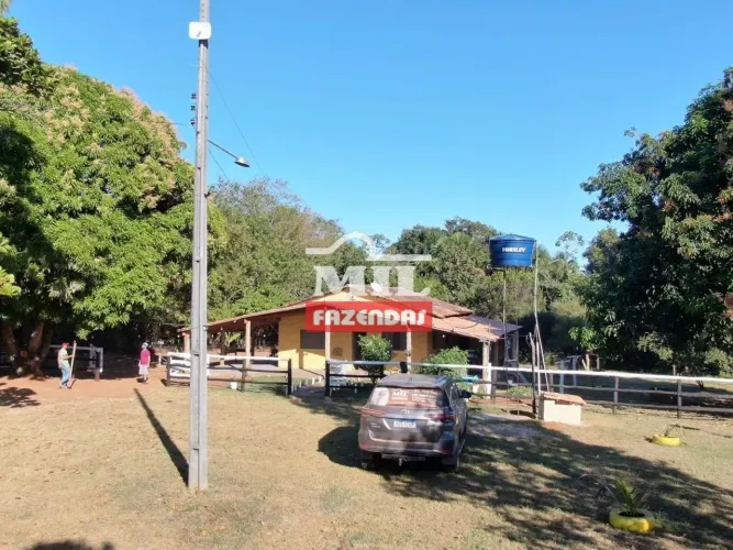 Fazenda 39.3 alqueires ( 190.4 hectares ) Faina-GO