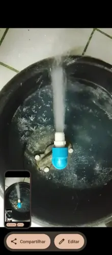 Bomba