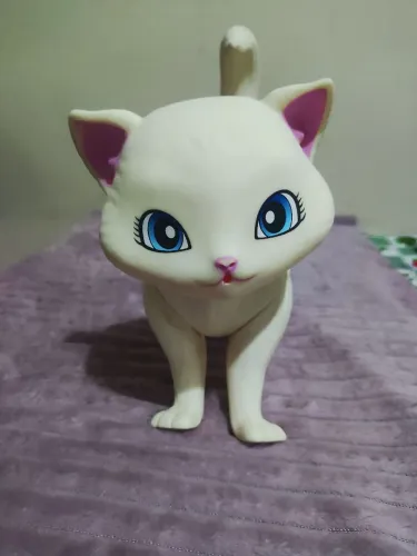 Gata Marie e gata da lol