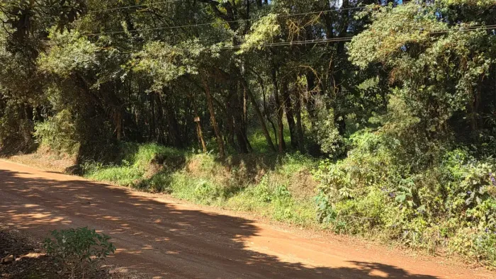 Terreno à Venda em Campo Novo Campo Magro/PR