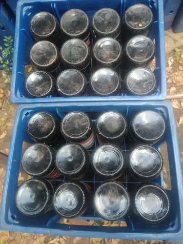 Caixas de cerveja 
