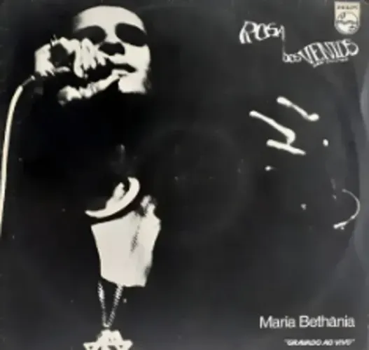 Disco de Vinil (LP) MARIA BETÂNIA - rosa dos ventos