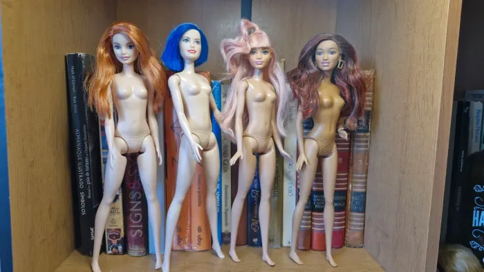 Barbie Fashionistas  lote H