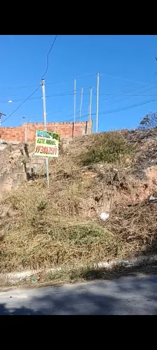 Lote