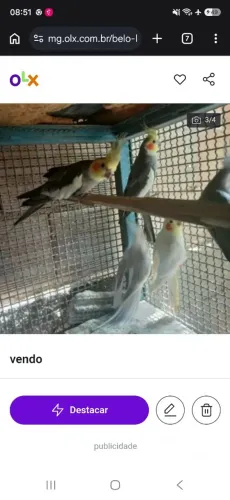 vendo