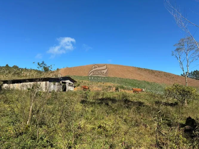 Terreno Rural para Venda em Angelina, BARRA CLARA