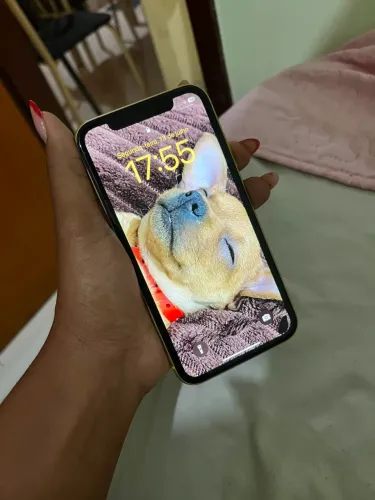iPhone 11