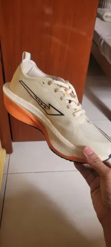 Tenis