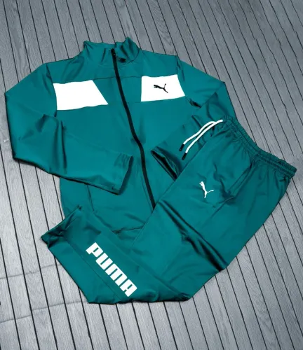 Conjunto da puma