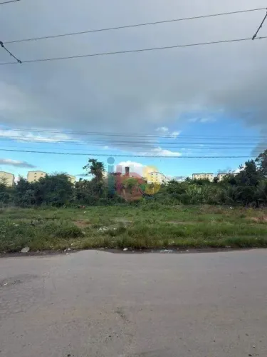 VENDO LOTES NA RUA NESTOR PASSOS BAIRRO CALIFÓRNIA