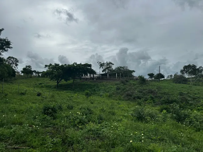 Vendo sítio 7 hectares