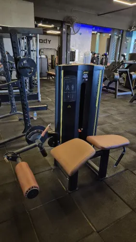 Mesa flexora
