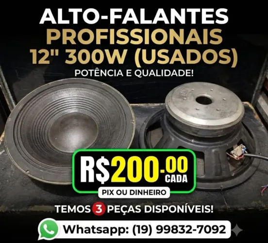 Alto falante 12 polegadas