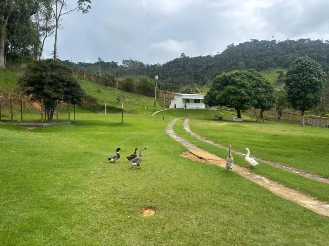SITIO XOM 30.000M² EXCELENTE TOPOGRAFIA, ALTO GALO, DOMINGOS MARTINS ES.