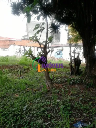 AREA - ALTO DA LAPA - SP