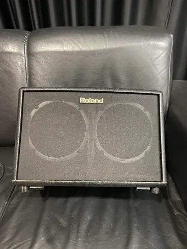 Amplificador Roland AC 60