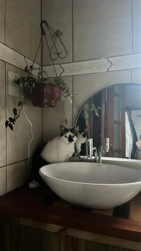 Cuba DECA Cerâmica Pia banheiro