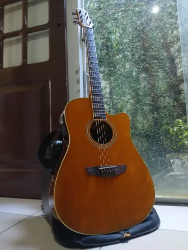 Violão Strinberg Profissional PERFEITO ESTADO