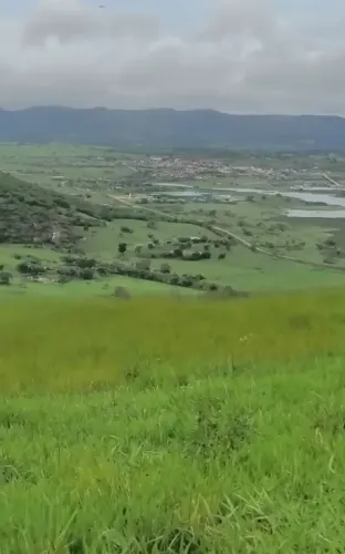 Vendemos uma propriedade-56 hec- toda pronta-boa parte plantação de capim-uma ótima oportu