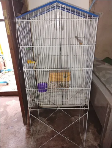 Gaiola para pássaros 