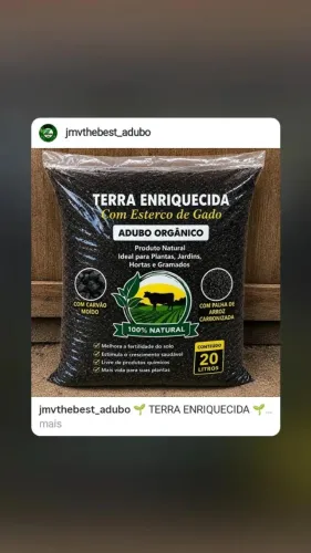 Plantas , legumes e flores !
