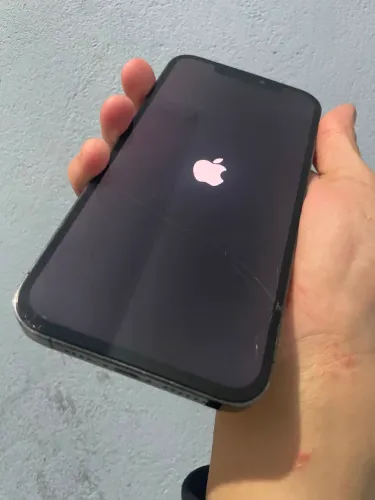 iphone 12 pro max 256gb