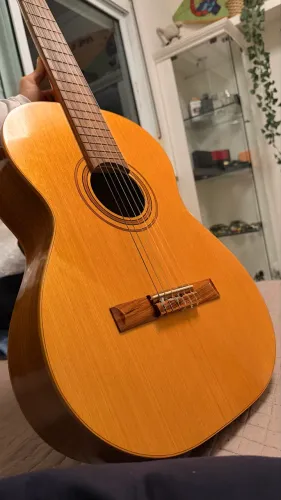 Violão Di Giorgio estudante n18