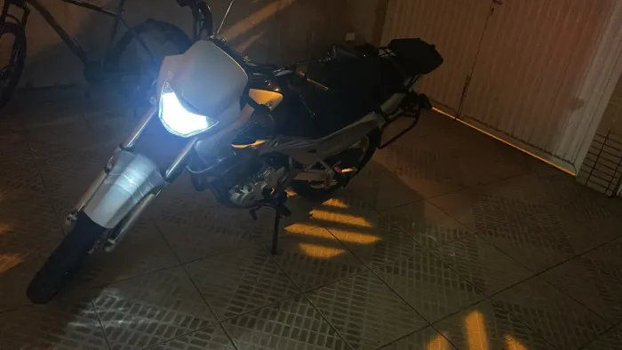 Vendo falcon