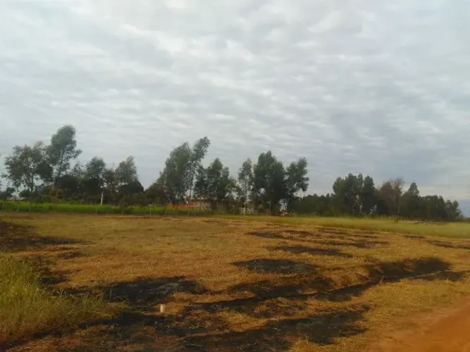 Terreno