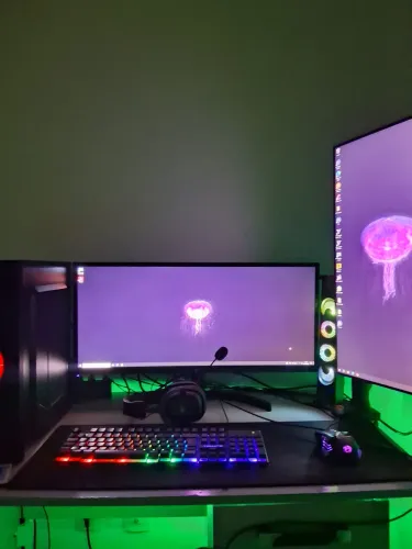 Pc gamer