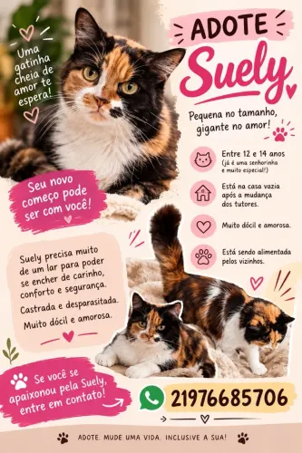 Adoção responsável gatinha angorá