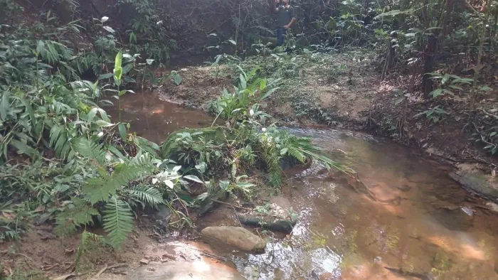 Chacara de 5.100mt em Cristianopolis com córrego ultima unidade!