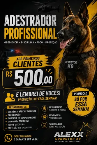 Adestramento de cães <br><br>Adestramento de Cães em Pouso Alegre | Adestrador Profissional
