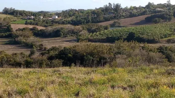 Velleda oferece magnífica fazenda 62 hectares para plantio em Sentinela do Sul