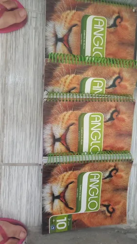 14 LIVROS ANGLO VESTIBULAR ENSINO MÉDIO