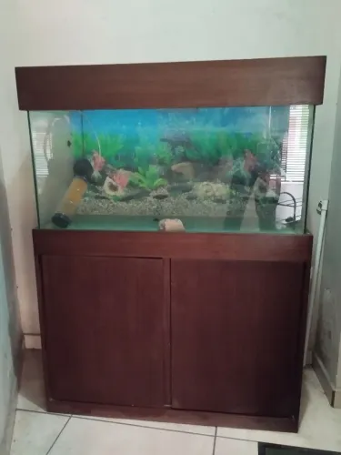 Aquário 200L com móvel