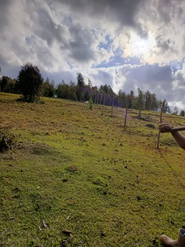 Chácara de 3.833 m^2