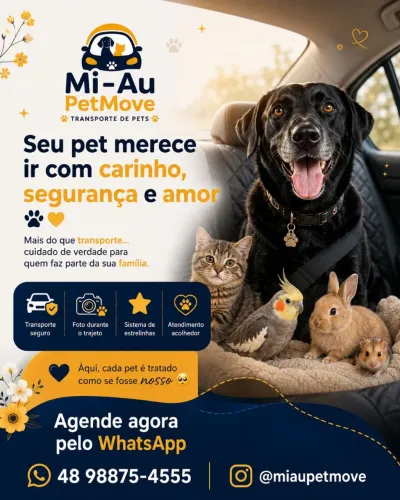 Transporte de Pets/ Táxi Pet/ UberPet