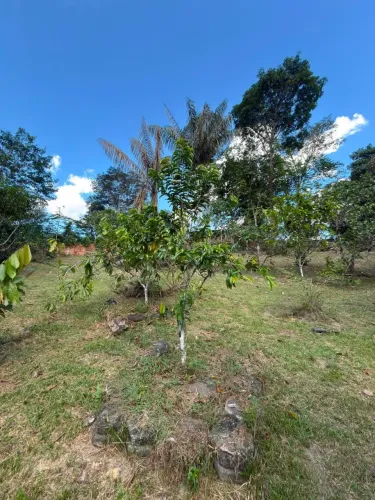 Vendo Sítio |  R$ 290.000 KM 5 | Ramal Massaranduba km 05  BR 174